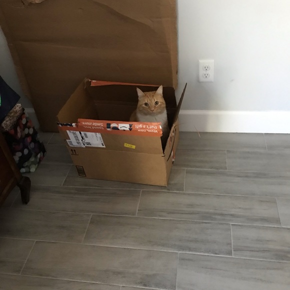 Bad Moms??? - Picture 5 of 17